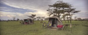 Read more about the article Outdoor Essentials for Camping in Kenya